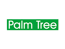 Palm Tree